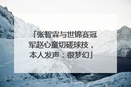 张智霖与世锦赛冠军赵心童切磋球技，本人发声：很梦幻