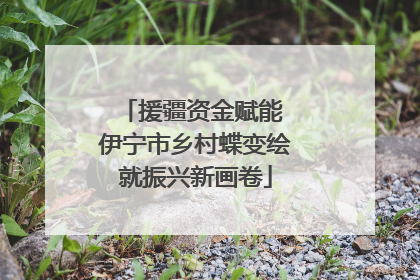 援疆资金赋能 伊宁市乡村蝶变绘就振兴新画卷