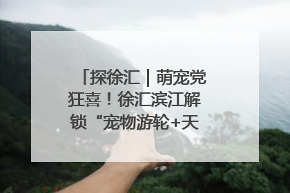 探徐汇｜萌宠党狂喜！徐汇滨江解锁“宠物游轮+天台乐园”双玩法