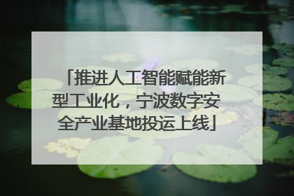 推进人工智能赋能新型工业化，宁波数字安全产业基地投运上线