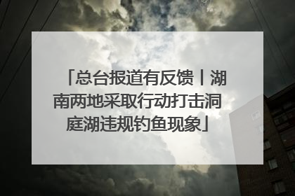 总台报道有反馈丨湖南两地采取行动打击洞庭湖违规钓鱼现象
