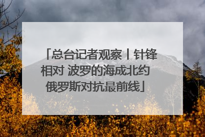 总台记者观察丨针锋相对 波罗的海成北约俄罗斯对抗最前线