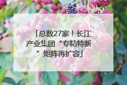 总数27家！长江产业集团“专精特新”矩阵再扩容