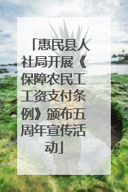 惠民县人社局开展《保障农民工工资支付条例》颁布五周年宣传活动