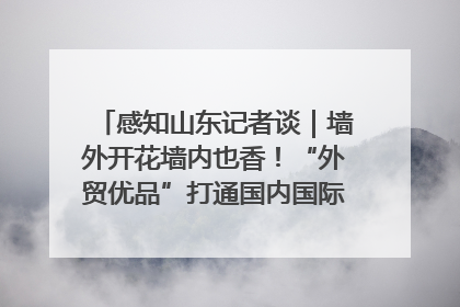 感知山东记者谈｜墙外开花墙内也香！“外贸优品”打通国内国际市场“旋转门”
