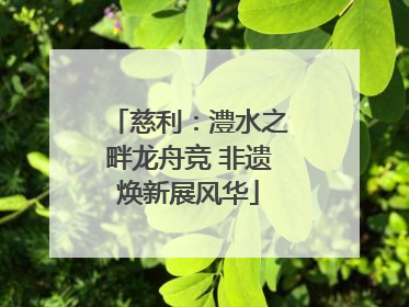 慈利：澧水之畔龙舟竞 非遗焕新展风华