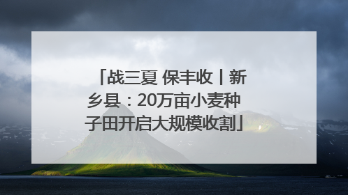 战三夏 保丰收丨新乡县：20万亩小麦种子田开启大规模收割