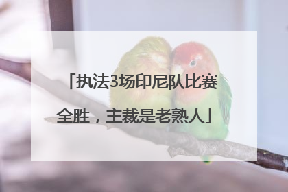 执法3场印尼队比赛全胜，主裁是老熟人
