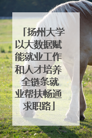 扬州大学以大数据赋能就业工作和人才培养 全链条就业帮扶畅通求职路