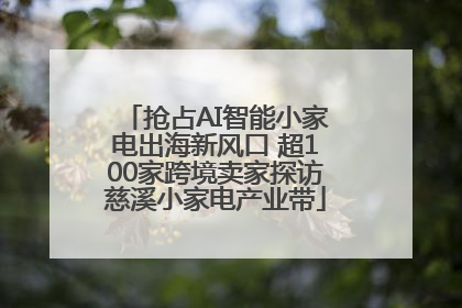 抢占AI智能小家电出海新风口 超100家跨境卖家探访慈溪小家电产业带