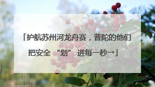 护航苏州河龙舟赛，普陀的他们把安全 “划” 进每一秒→