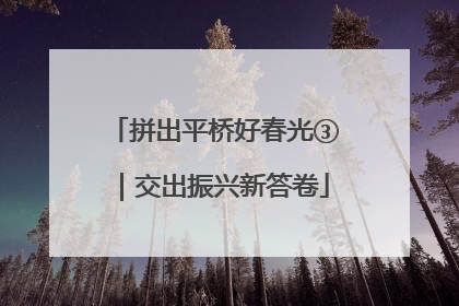 拼出平桥好春光③｜交出振兴新答卷