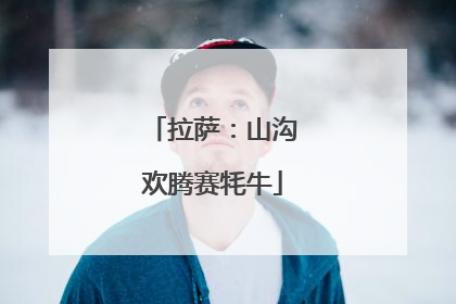 拉萨：山沟欢腾赛牦牛