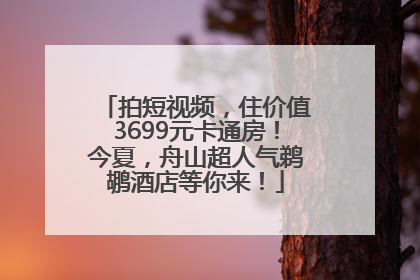 拍短视频，住价值3699元卡通房！今夏，舟山超人气鹈鹕酒店等你来！