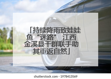 持续降雨致娃娃鱼“迷路” 江西金溪县干群联手助其重返自然
