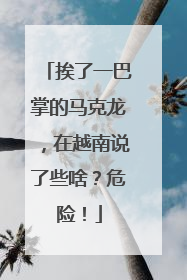 挨了一巴掌的马克龙，在越南说了些啥？危险！