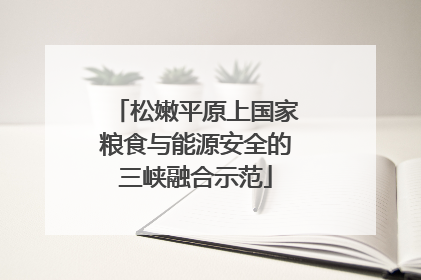 松嫩平原上国家粮食与能源安全的三峡融合示范