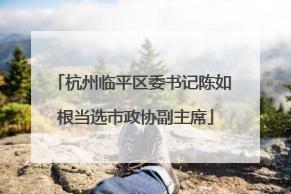 杭州临平区委书记陈如根当选市政协副主席