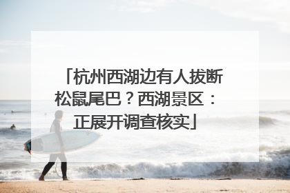 杭州西湖边有人拔断松鼠尾巴？西湖景区：正展开调查核实