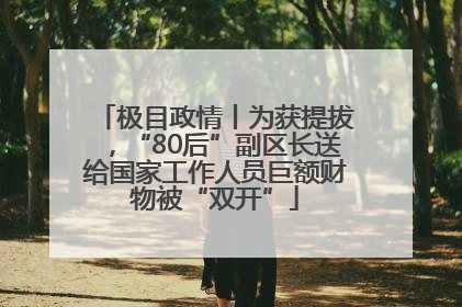 极目政情丨为获提拔，“80后”副区长送给国家工作人员巨额财物被“双开”
