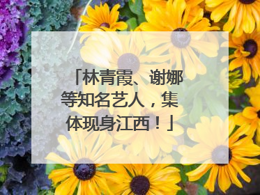 林青霞、谢娜等知名艺人，集体现身江西！