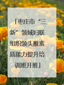 枣庄市“三新”领域妇联组织领头雁素质能力提升培训班开班