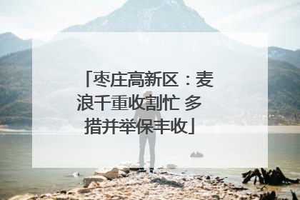 枣庄高新区：麦浪千重收割忙 多措并举保丰收