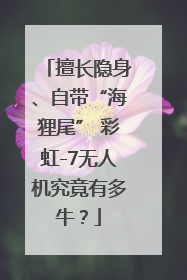 擅长隐身、自带“海狸尾” 彩虹-7无人机究竟有多牛？
