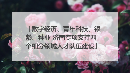 数字经济、青年科技、银龄、种业 济南专项支持四个细分领域人才队伍建设