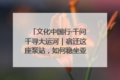 文化中国行·千问千寻大运河｜宿迁这座泵站，如何稳坐亚洲第一宝座？