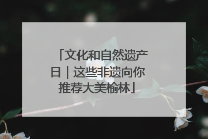 文化和自然遗产日｜这些非遗向你推荐大美榆林