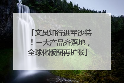 文员知行进军沙特！三大产品齐落地，全球化版图再扩张
