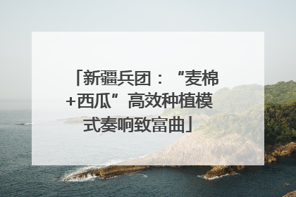 新疆兵团：“麦棉+西瓜”高效种植模式奏响致富曲