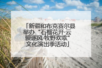 新疆和布克赛尔县举办“石榴花开·云骥逐风·牧野欢歌”文化演出季活动