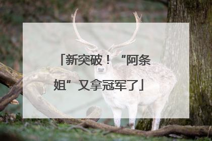 新突破！“阿条姐”又拿冠军了