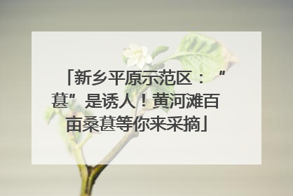新乡平原示范区：“葚”是诱人！黄河滩百亩桑葚等你来采摘
