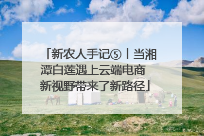 新农人手记⑤丨当湘潭白莲遇上云端电商 新视野带来了新路径