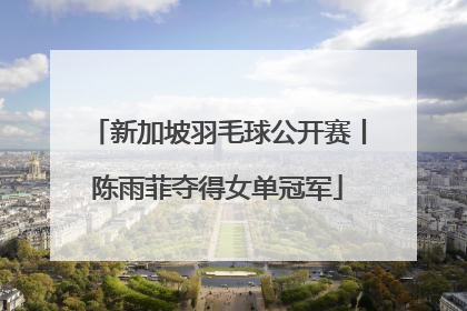 新加坡羽毛球公开赛丨陈雨菲夺得女单冠军