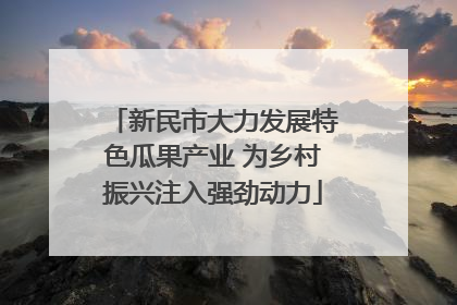 新民市大力发展特色瓜果产业 为乡村振兴注入强劲动力
