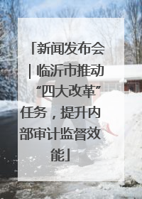 新闻发布会｜临沂市推动“四大改革”任务，提升内部审计监督效能
