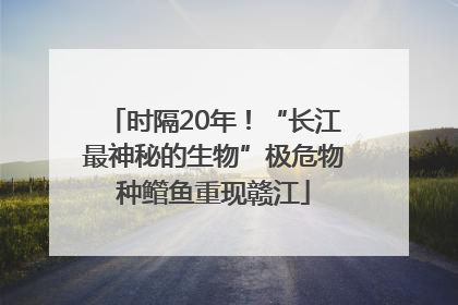 时隔20年！“长江最神秘的生物”极危物种鳤鱼重现赣江