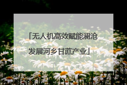 无人机高效赋能澜沧发展河乡甘蔗产业