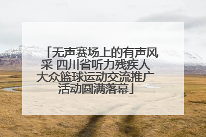 无声赛场上的有声风采 四川省听力残疾人大众篮球运动交流推广活动圆满落幕