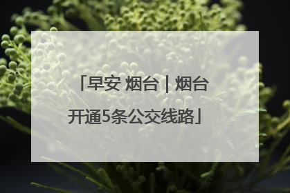 早安 烟台｜烟台开通5条公交线路