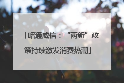 昭通威信：“两新”政策持续激发消费热潮