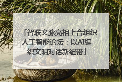 智联文脉亮相上合组织人工智能论坛：以AI编织文明对话新纽带