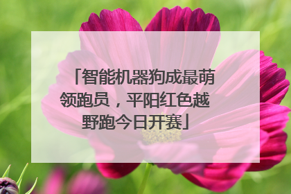 智能机器狗成最萌领跑员，平阳红色越野跑今日开赛