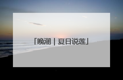 晚潮｜夏日说莲