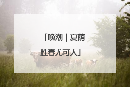 晚潮｜夏荫胜春尤可人