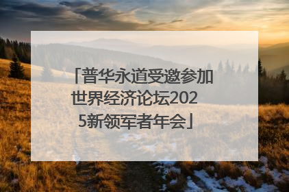 普华永道受邀参加世界经济论坛2025新领军者年会